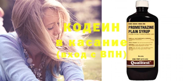 индика Каменногорск