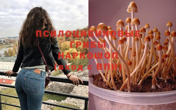мет Абинск