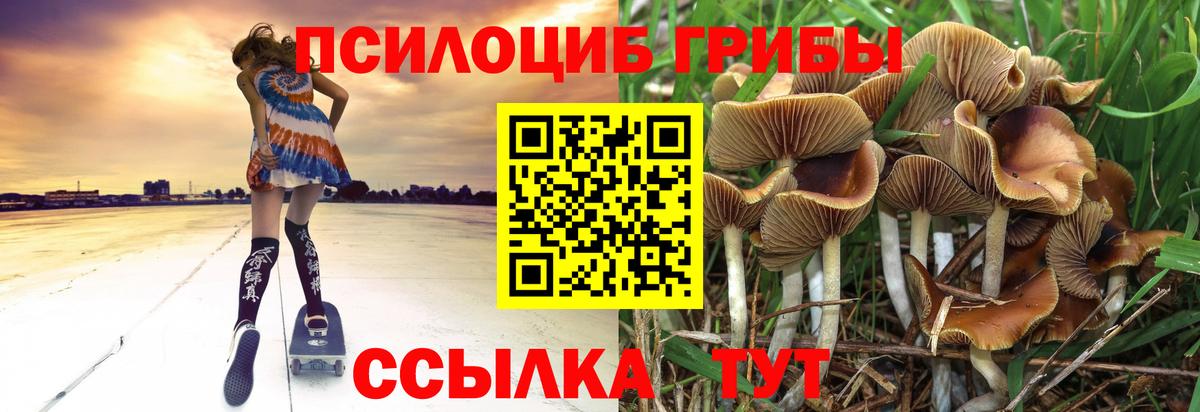 Красноперекопск  Галлюциногенные грибы Magic Shrooms  Вход с VPN 